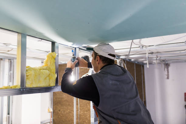 Best Insulation for Specific Applications in Nedrow, NY