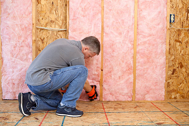 Best Insulation for Specific Applications in Nedrow, NY